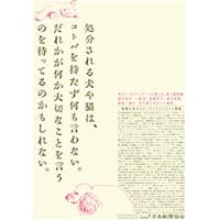 20170515_shinbuntop01