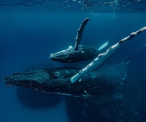 39thnaturephotocontest_index