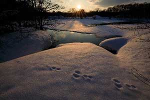 第34回ソニーネクストフォトグラファー賞<br>「春へ」田代弘平